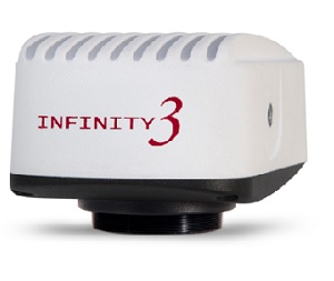 INFINITY-3-3UR - 300万像素，低噪声CCD显微镜相机图像