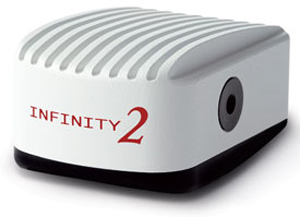 Infinity-2-1R  - 研究级，1.4百万像素CCD Scientific USB 2.0相机图像