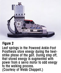 图2 -电动踝关节-足假体中的钢板弹簧在步态的脚跟撞击阶段储存能量。在步出过程中，存储的能量会通过伺服电机的动力增强，以增加行走过程的能量。(Webb Chappell提供)