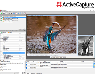 ActiveCapture -火鸟帧抓取器的新前端软件应用程序。一个用于图像采集，分析和显示的GenICam genl程序。