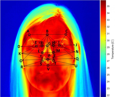 图3:面部温度，可以用热成像相机测量，与精神负荷密切相关。这种效果在鼻子周围最为明显。当人们完成难度增加的任务时，面部温度会降低。图片由诺丁汉大学提供。