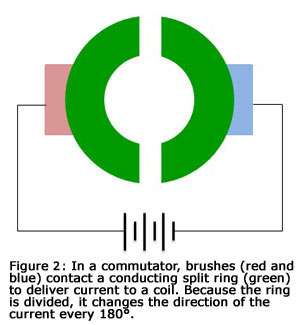 图2:在换向器中，刷子(红色和蓝色)接触一个导电分裂环(绿色)提供电流到线圈。因为环是分开的，所以电流的方向每180度就改变一次。