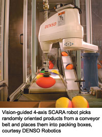 视力引导的4轴萨拉机器人从传送带中挑选随机取向的产品，将它们放入包装盒中，礼貌的Denso机器人