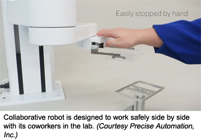 协作机器人被设计成可以在实验室里安全地与同事们并肩工作。(Courtesy precision Automation, Inc.)