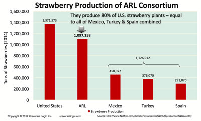 美国80%的草莓都是ARL生产的